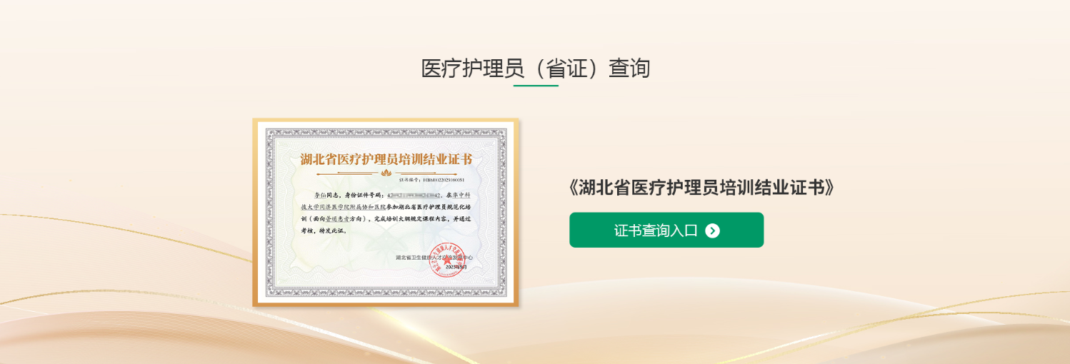 医疗护理员查询